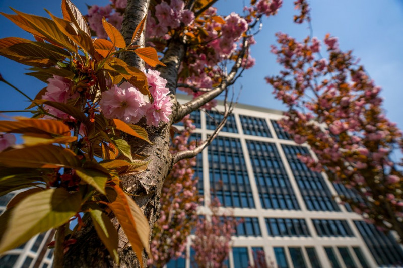 Spatiu birou de inchiriat in cladirea Bucharest Business Garden A  - Orhideea 