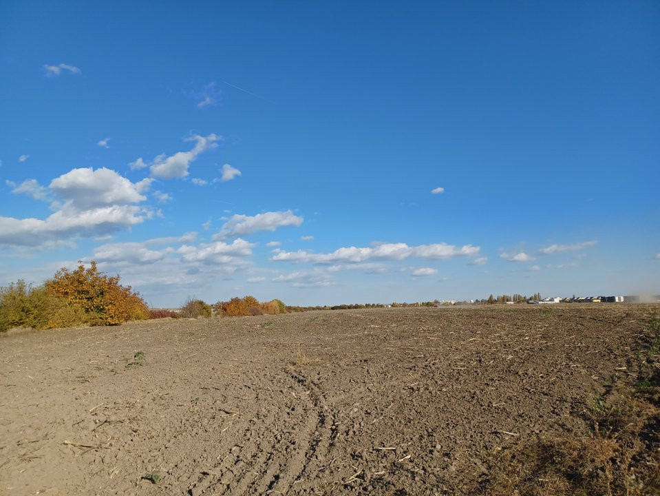 Otopeni 7.500 mp - Patinoarul  Tiriac Arena