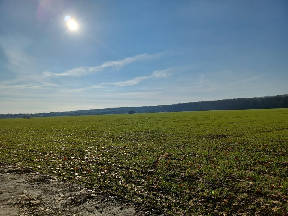 Corbeanca 27.3ha - teren intravilan