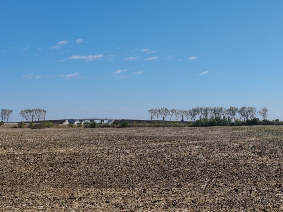 Teren de 19.000 mp de vânzare în Ștefăneștii de Jos - ideal pentru hale.