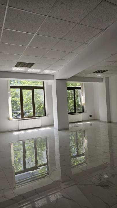 Imobil Comercial de Vânzare – Bulevardul Doamna Ghica | Investiție cu potențial 