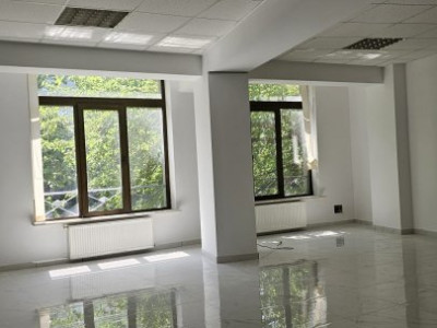 Imobil Comercial de Vânzare – Bulevardul Doamna Ghica | Investiție cu potențial 