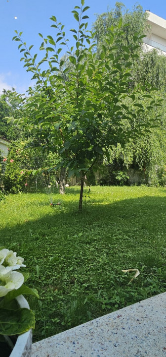 Vânzare vilă cu 5 camere în Pipera – Strada Câmpul Pipera