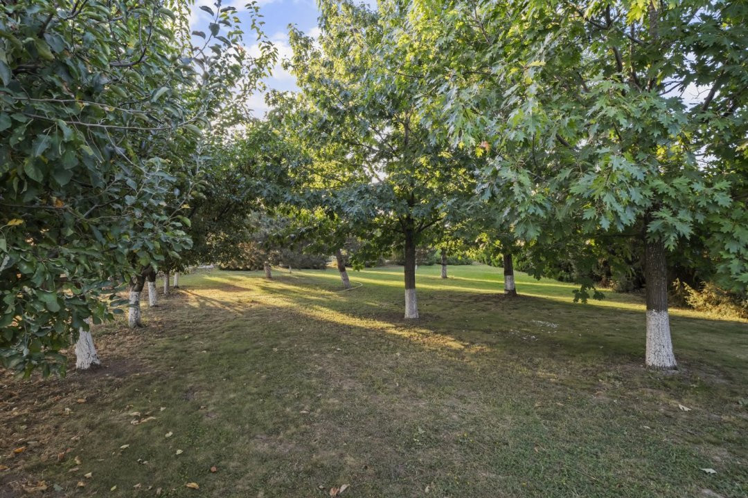 Vila Exclusivistă din Cernica – Eleganță, Spațiu și Natură.
