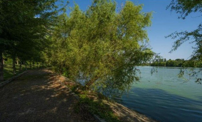 Penthouse spectaculos, lake view 