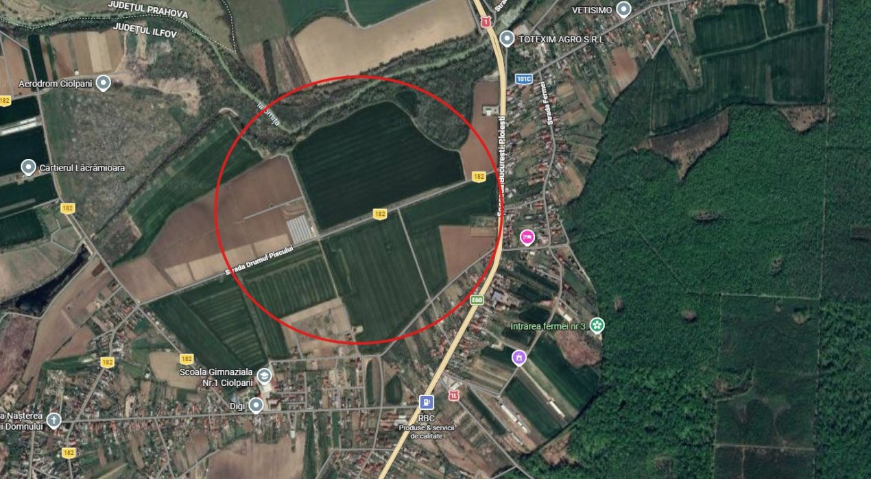 Teren de vanzare Ciolpani 