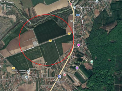 Teren de vanzare Ciolpani 