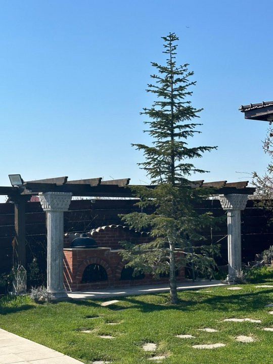 VILĂ DE PRESTIGIU ÎN LAGUNA ALBASTRĂ – CORBEANCA