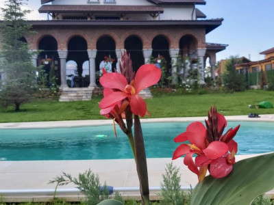 VILĂ DE PRESTIGIU ÎN LAGUNA ALBASTRĂ – CORBEANCA