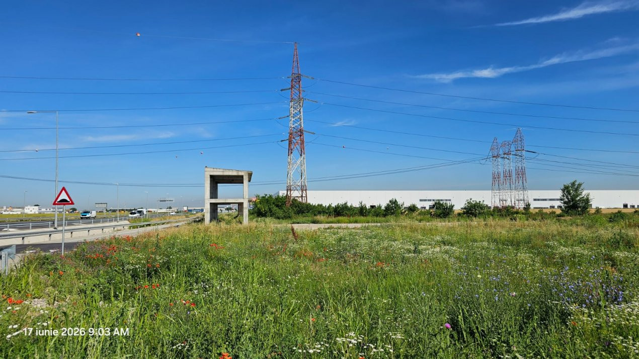 Teren intravilan de vânzare – Popești-Leordeni | 50.000 mp